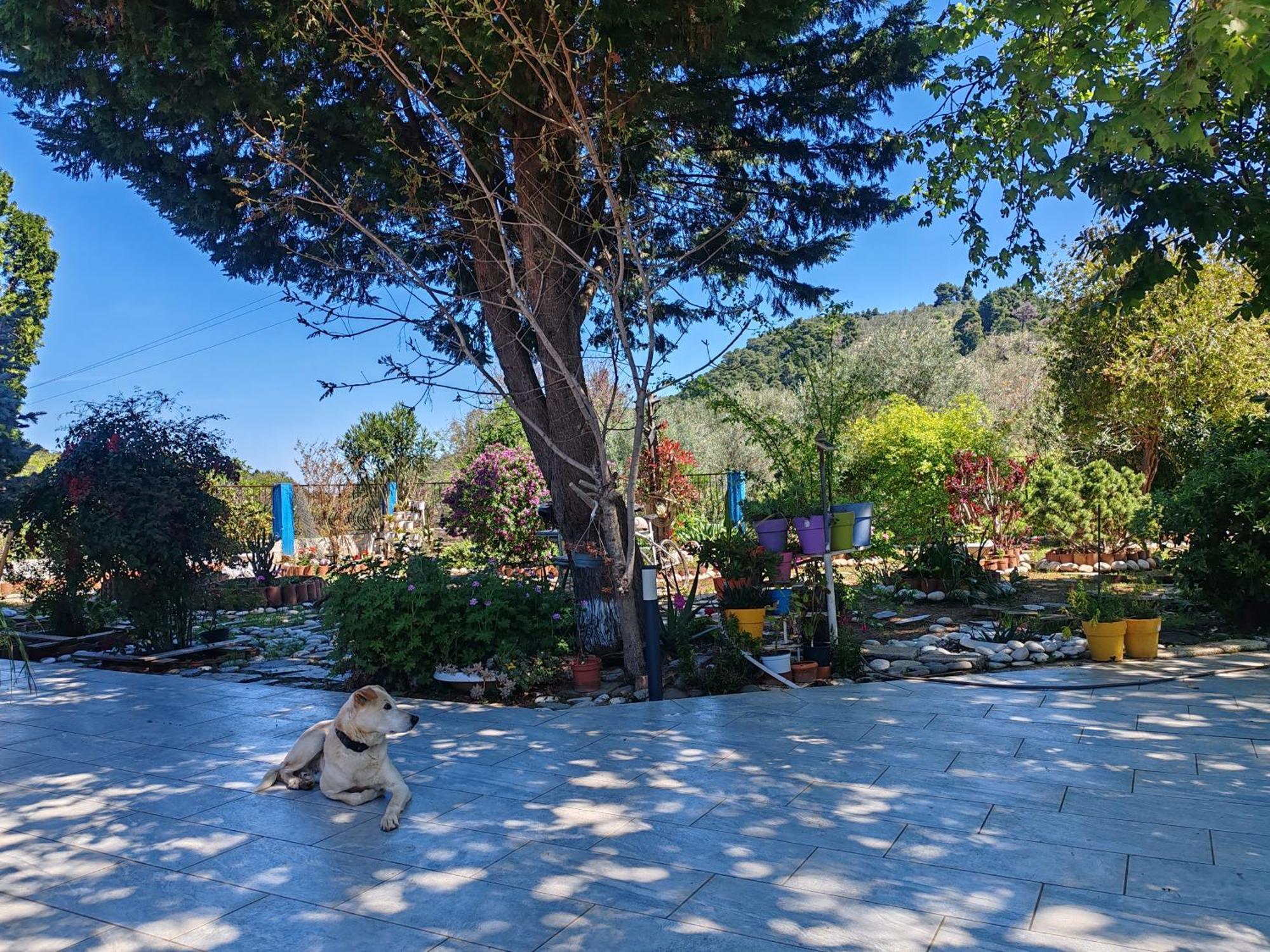 Εξοχική Κατοικία - Cottage Τίνα Líri Extérieur photo